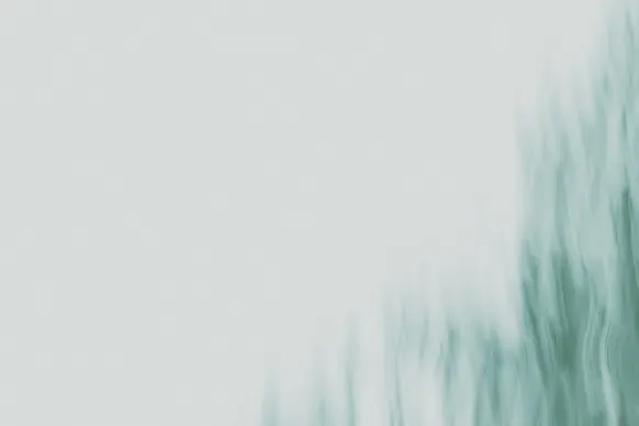 Wild Tornado Casino Support